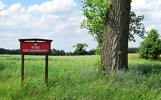 Welski Park Krajobrazowy zyskuje na atrakcyjności. Zakończono budowę ścieżek przyrodniczych i wieży widokowej Welski Park Krajobrazowy zyskuje na atrakcyjności. Zakończono budowę ścieżek przyrodniczych i wieży widokowej